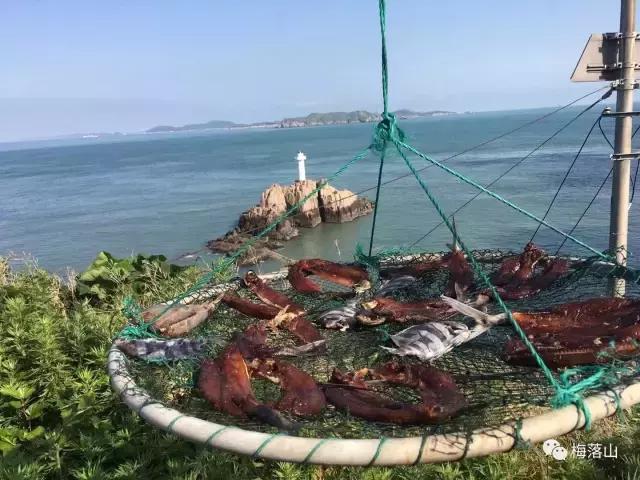 旅游｜如若错过，后会无期——东极岛旅游小记（附旅游攻略）