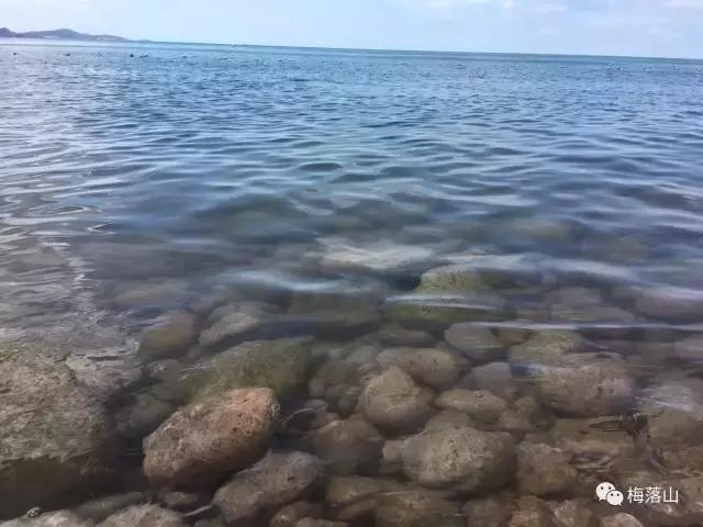 旅游｜如若错过，后会无期——东极岛旅游小记（附旅游攻略）