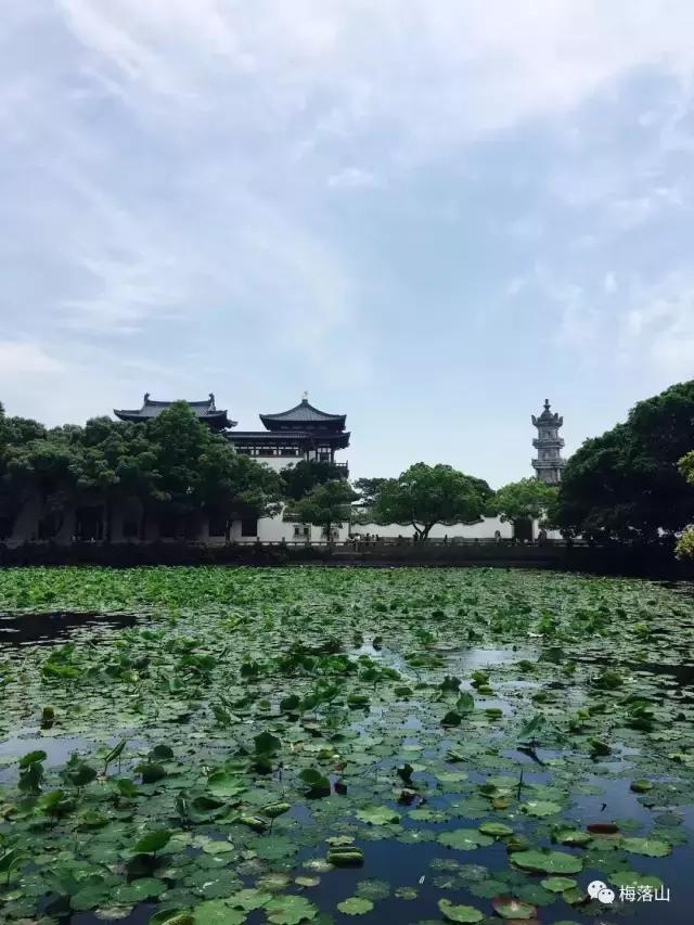 旅游｜如若错过，后会无期——东极岛旅游小记（附旅游攻略）