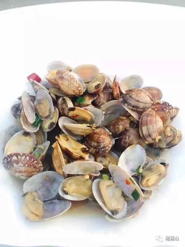 旅游｜如若错过，后会无期——东极岛旅游小记（附旅游攻略）