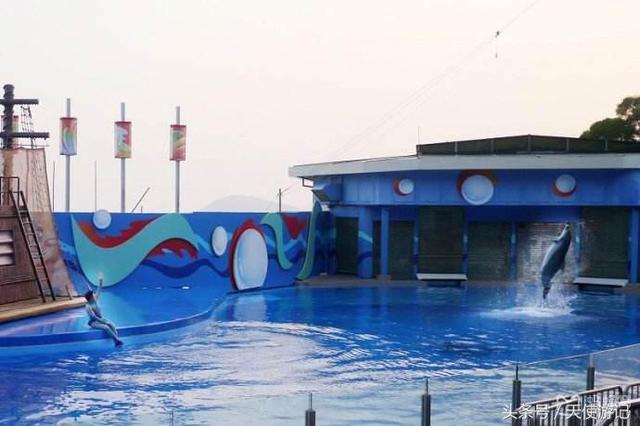 游记：这篇文章告诉你香港海洋公园的游玩全攻略（建议收藏转发）