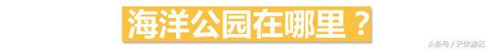 游记：这篇文章告诉你香港海洋公园的游玩全攻略（建议收藏转发）