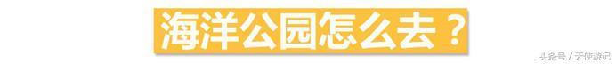 游记：这篇文章告诉你香港海洋公园的游玩全攻略（建议收藏转发）
