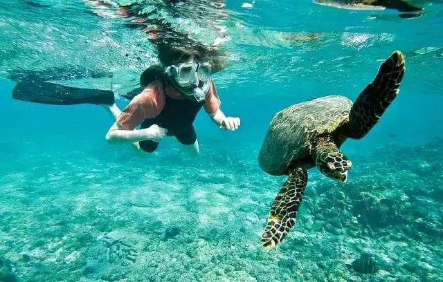 一份详尽的美国旅游攻略，看完可以大胆去美国嗨了！