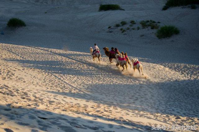 北京自驾游攻略！来一场说走就走的旅行吧