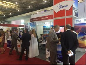 “说走就走”突尼斯