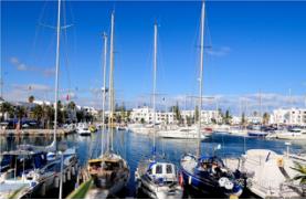 “说走就走”突尼斯