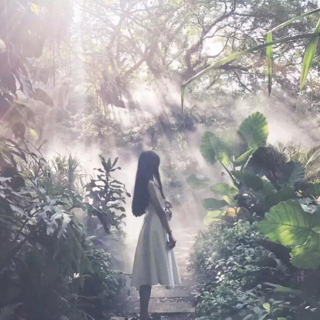 所有人！厦门热门景区降价！植物园、鼓浪屿、金光湖……太省钱了！