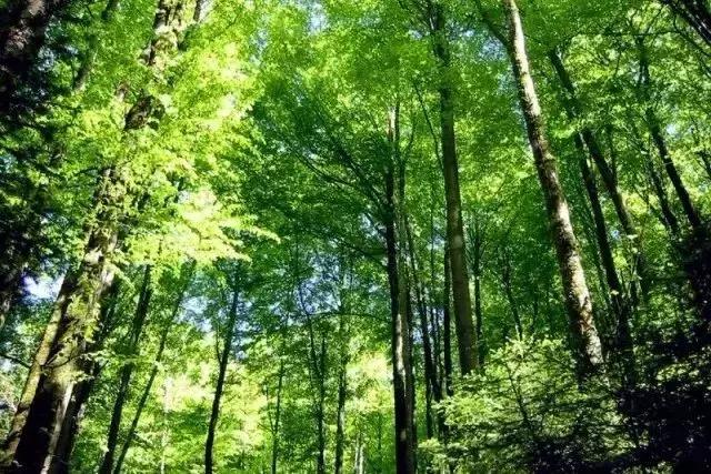 所有人！厦门热门景区降价！植物园、鼓浪屿、金光湖……太省钱了！