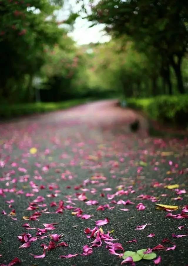 南沙旅游全攻略｜2017南沙旅游月历，竟是如此浪漫的2017