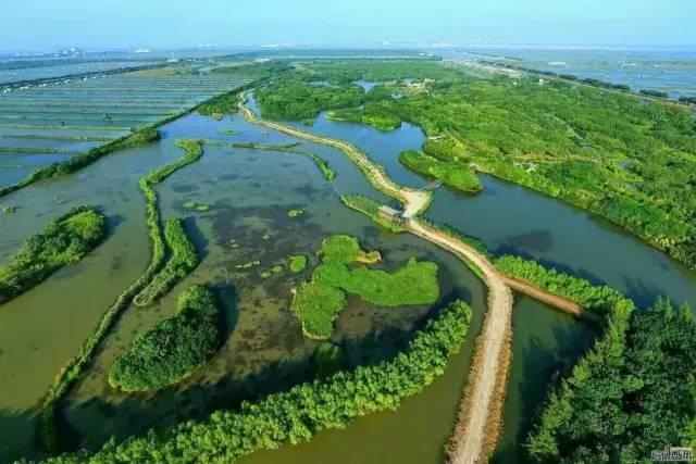 南沙旅游全攻略｜2017南沙旅游月历，竟是如此浪漫的2017