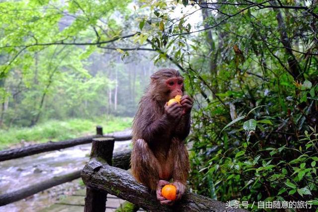 张家界自驾/自由行旅游攻略、2018张家界自助游攻略