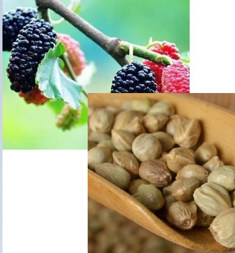 身为女人，你居然不知道大姨妈来的那几天，流出的血块是什么？