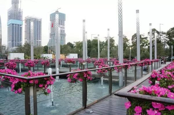 史上最强大的深圳旅游攻略，带你玩转全深圳！