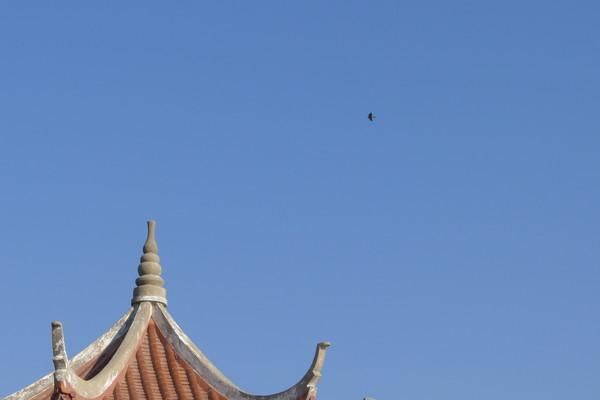 湄洲岛自由行攻略，太全了