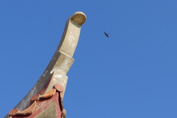 湄洲岛自由行攻略，太全了