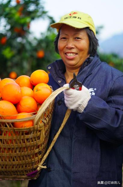 孕期可以吃橙子吗?需要注意什么?注意这5点,橙子随便吃