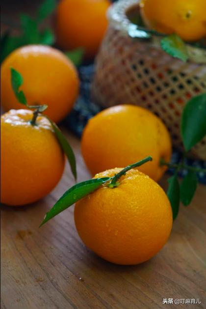 孕期可以吃橙子吗?需要注意什么?注意这5点,橙子随便吃