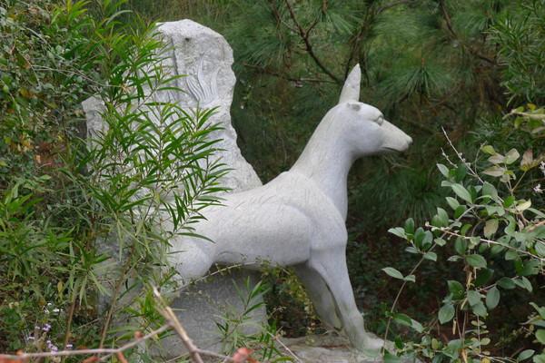 湄洲岛自由行攻略，太全了