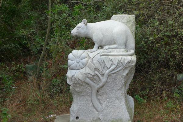 湄洲岛自由行攻略，太全了