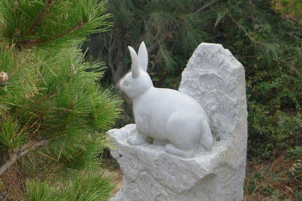 湄洲岛自由行攻略，太全了