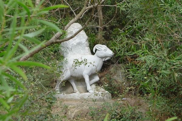 湄洲岛自由行攻略，太全了