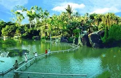 「厦门自由行」最详细，最实用的厦门、鼓浪屿旅游攻略