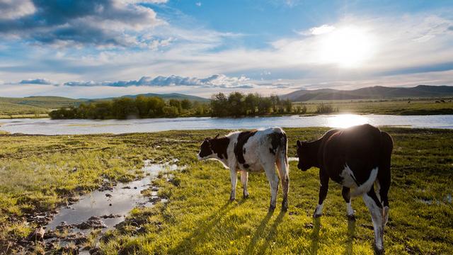 呼伦贝尔最新旅游攻略