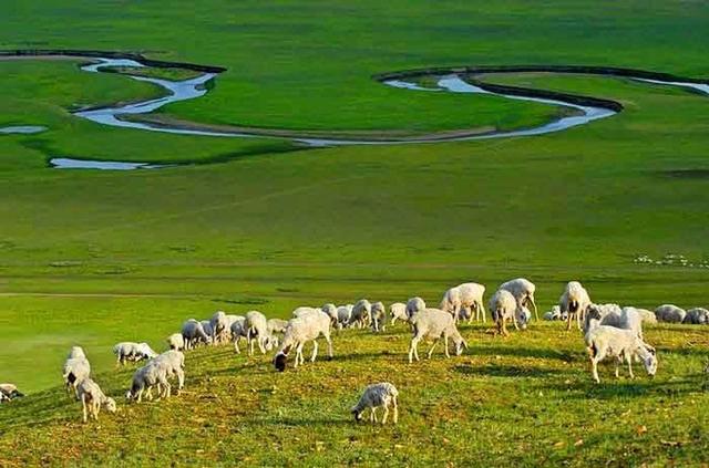 呼伦贝尔最新旅游攻略