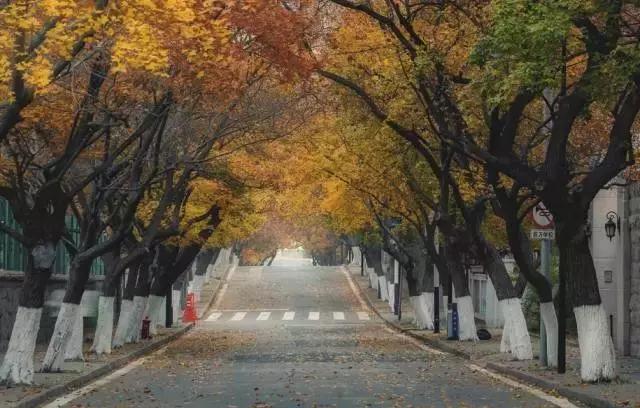 青岛最全旅游攻略！青岛吃逛好去处！