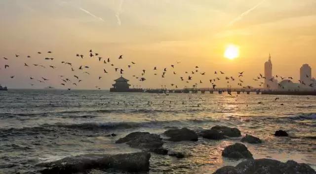 青岛最全旅游攻略！青岛吃逛好去处！