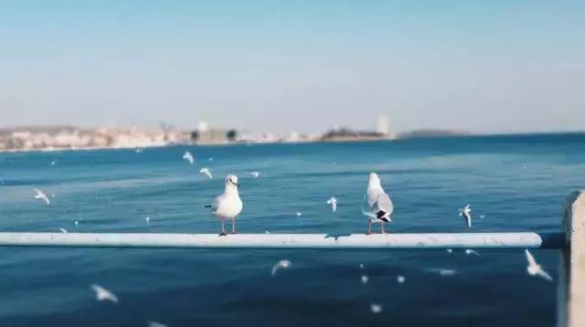 青岛最全旅游攻略！青岛吃逛好去处！