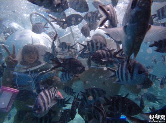 毛里求斯游记+攻略，悦椿度假村8天5晚自由行，欢迎各种咨询。