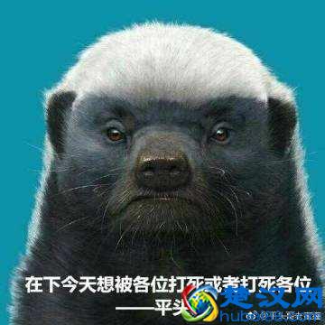 平头哥是谁？为什么越来越多人崇拜平头哥，看完就跟它混了