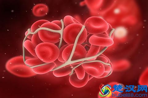 血细胞在人体内起什么作用