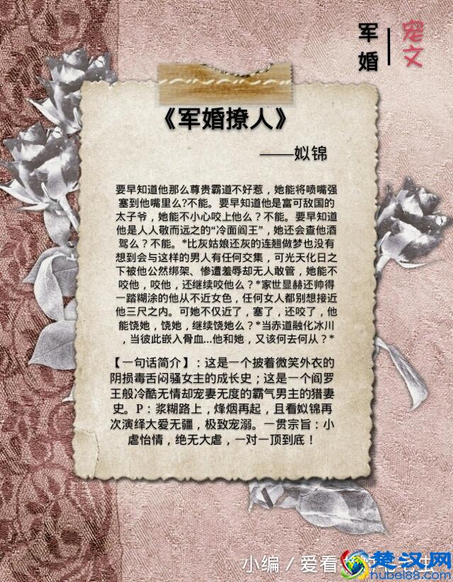 5本军婚小说推荐，铁血汉子化为宠妻狂魔，最爱第二本