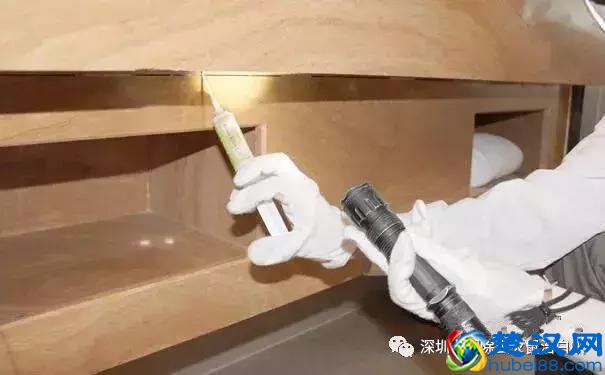 家里有蟑螂怎么办？史上最全面最有效的家庭灭蟑方法