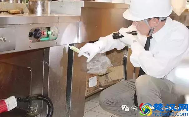 家里有蟑螂怎么办？史上最全面最有效的家庭灭蟑方法