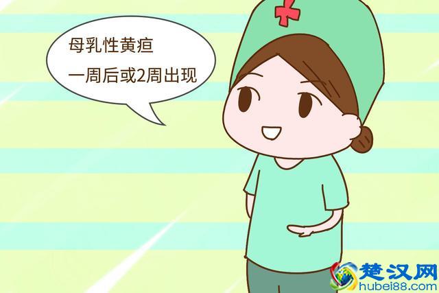 新生儿黄疸分3种，不是非得停母乳，也不是非得用茵栀黄