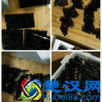 正宗阿胶糕的做法步骤