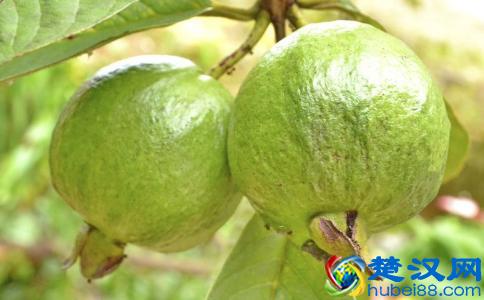 女人吃芭乐的好处 芭乐的营养价值