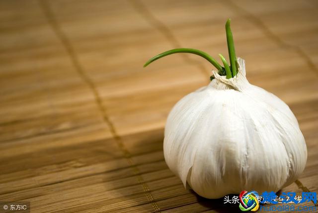 大蒜发芽还能不能吃？看完文章，不用再纠结了！