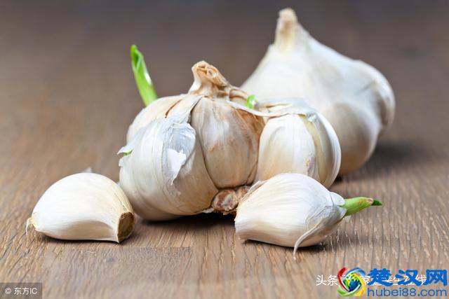 大蒜发芽还能不能吃？看完文章，不用再纠结了！