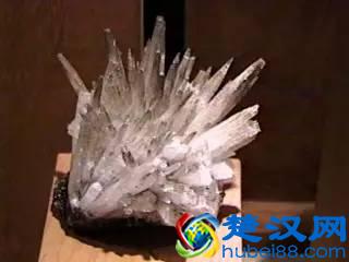 常见变质岩标本及构成矿物详细说明