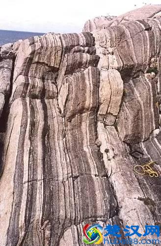 常见变质岩标本及构成矿物详细说明