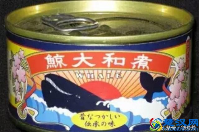 鲸鱼肉到底有多好吃？为什么冒天下之大不违也要捕杀