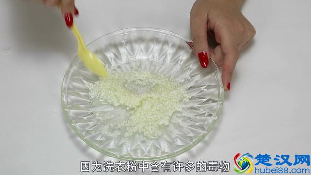 怎么灭老鼠又快又安全？跟晓宇学一招，老鼠很快消灭