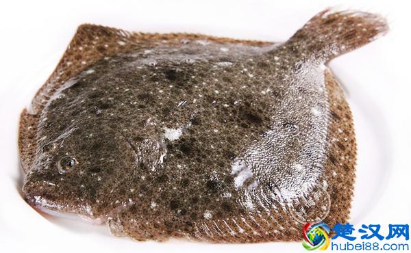 如何选购多宝鱼 多宝鱼市场价格多少