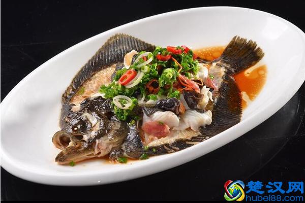 如何选购多宝鱼 多宝鱼市场价格多少