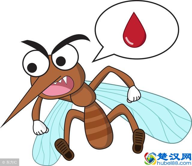 很多人不懂蚊子怕什么,教你一个土办法,10分钟把蚊子消灭干净